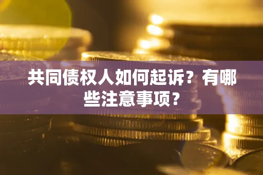 济南共同债权人如何起诉？有哪些注意事项？